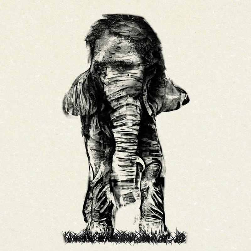 parteanimal1