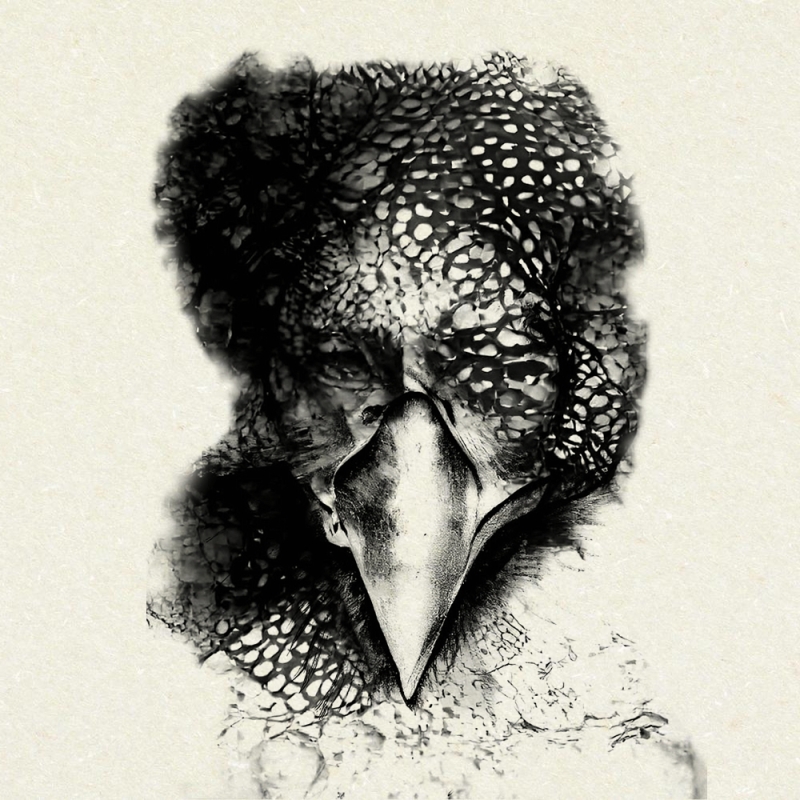 parteanimal2